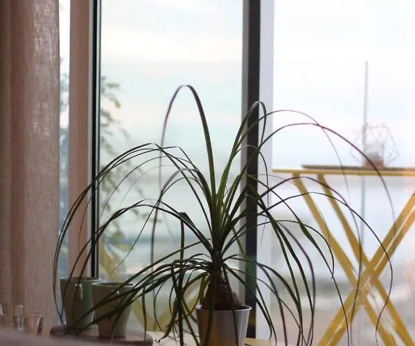 Seaview Lejlighed Palermo